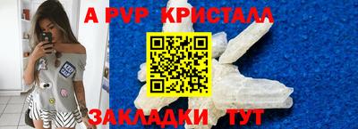 стафф Гусев